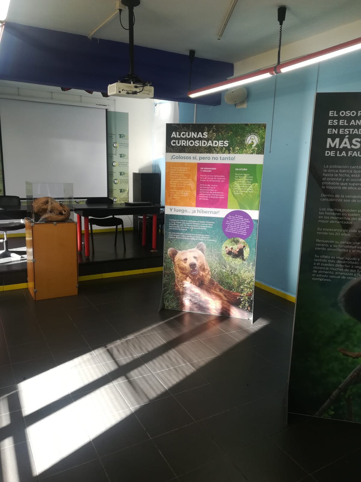 Degaña y Navelgas también acogieron la exposición ‘Osos’